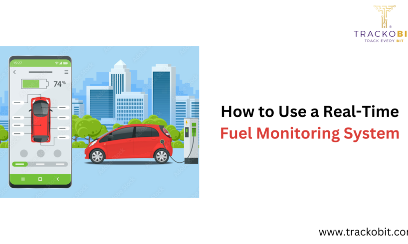 Real-Time Fuel Monitoring System