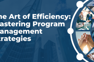 Mastering Program Management Strategies