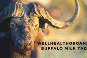 WellHealthOrganic Buffalo Milk Tag