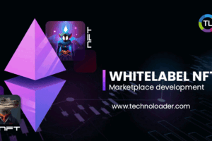 White label NFT marketplace development company