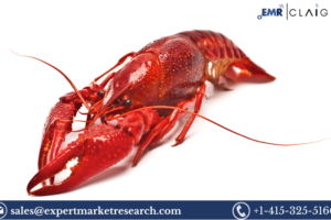 Crayfish Market