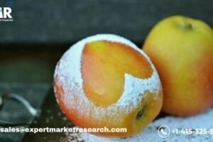 Fruit Powder Market