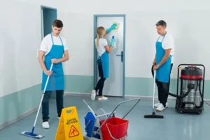 Summit Cleaning Services Colorado