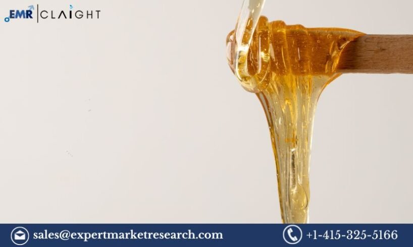 China Liquid Sugar Market